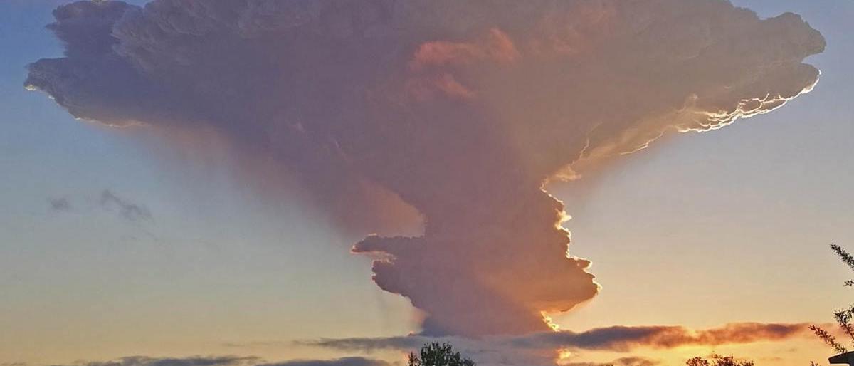 Фото А.В. Возникова